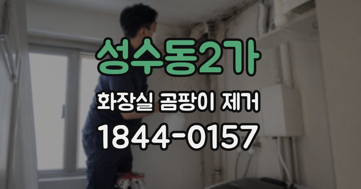 성수동2가 화장실 곰팡이 제거