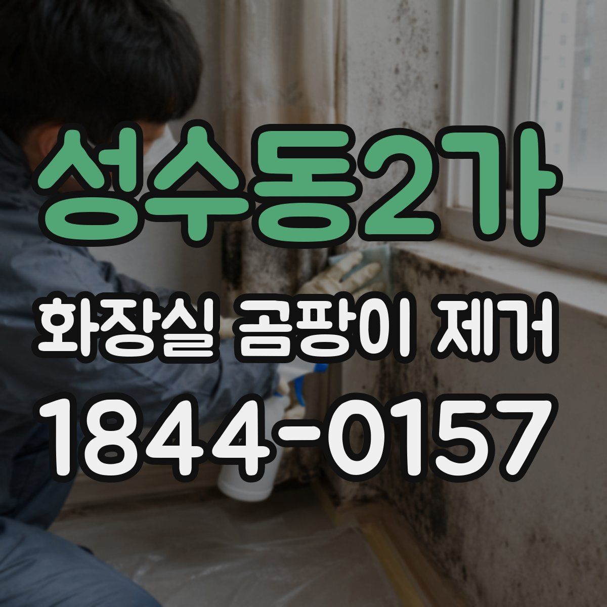 성수동2가 화장실 곰팡이 제거