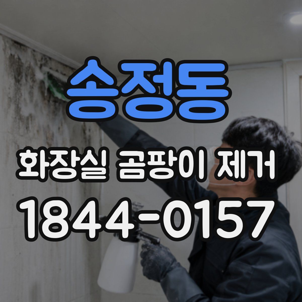 송정동 화장실 곰팡이 제거