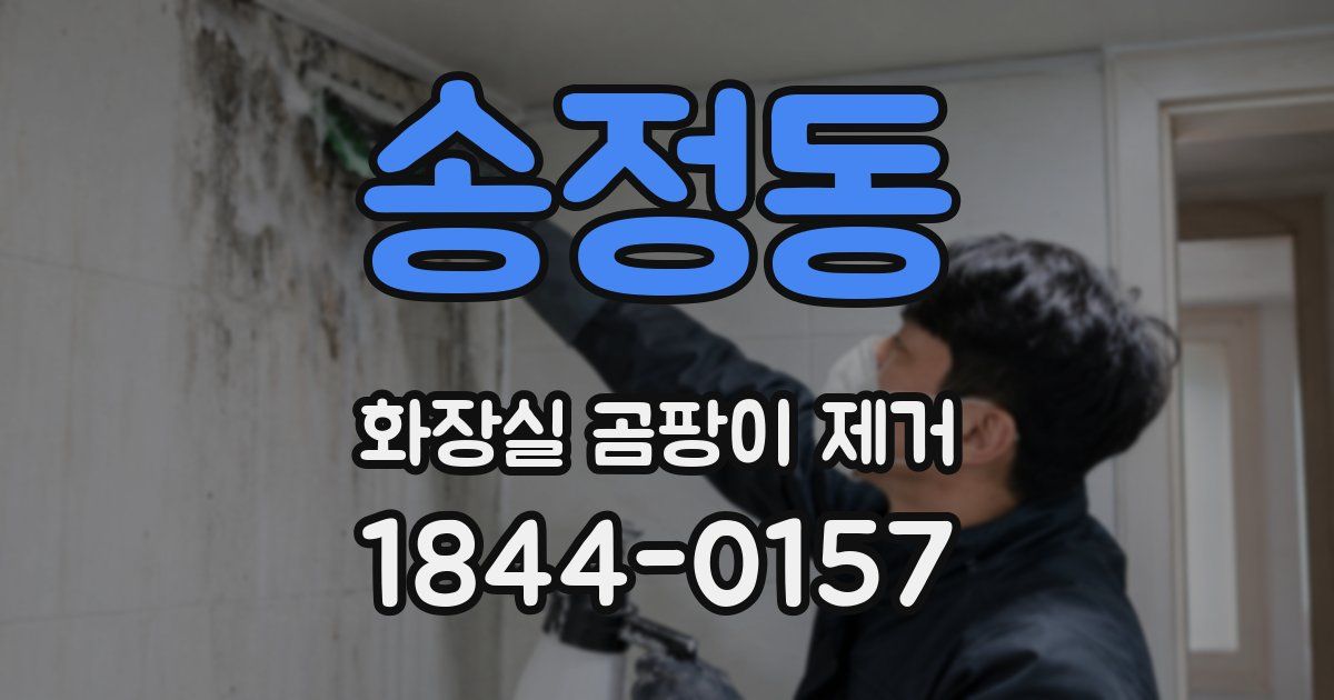 송정동 화장실 곰팡이 제거