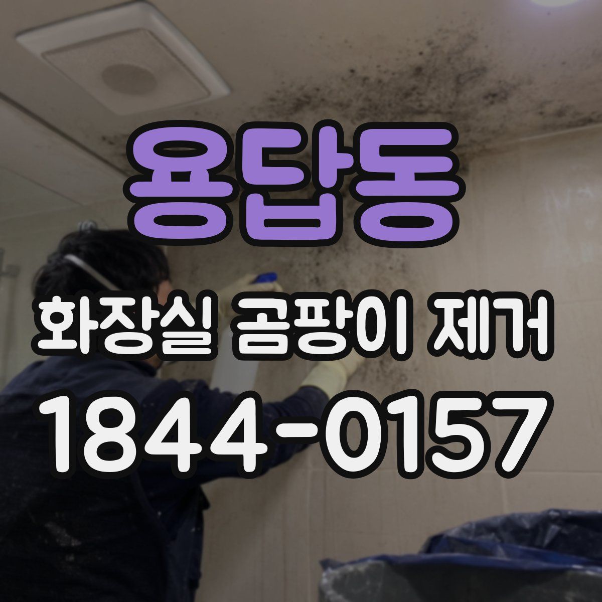 용답동 화장실 곰팡이 제거