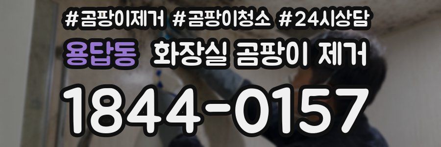 용답동 화장실 곰팡이 제거