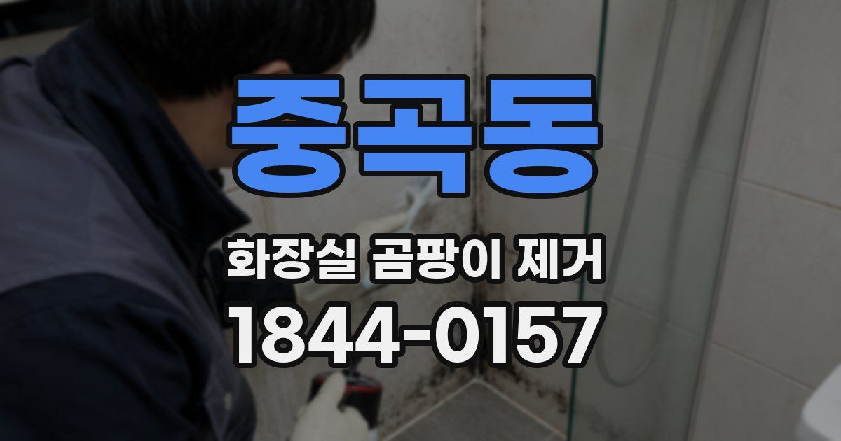 중곡동 화장실 곰팡이 제거