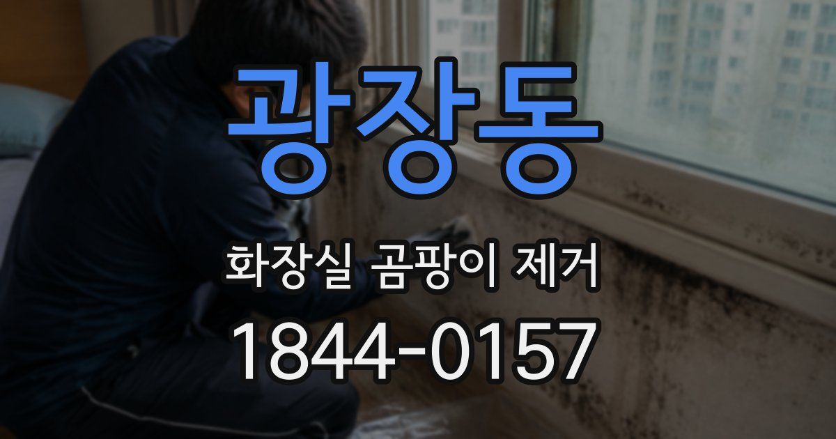 광장동 화장실 곰팡이 제거