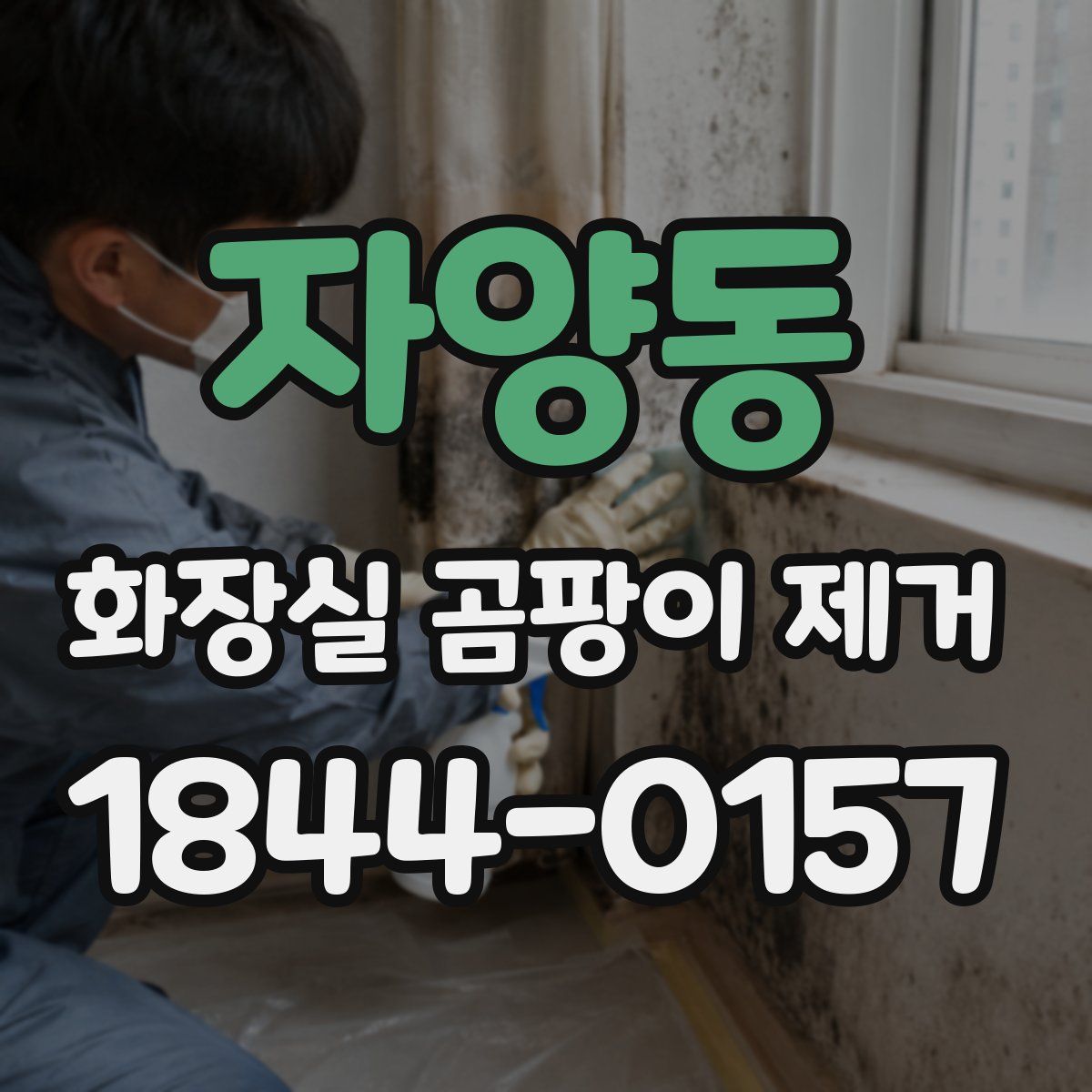 자양동 화장실 곰팡이 제거