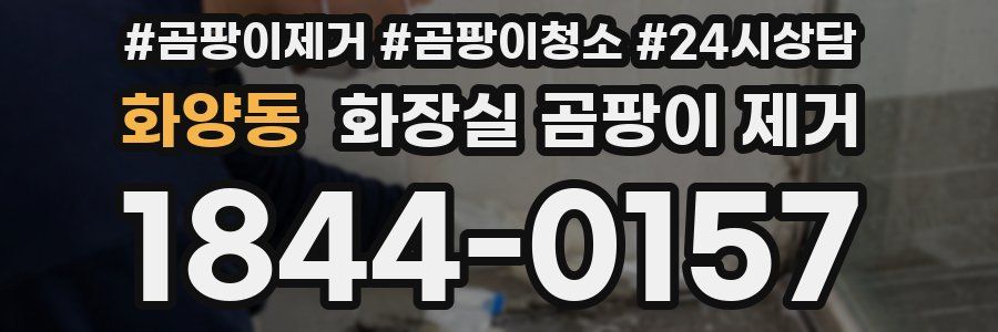 화양동 화장실 곰팡이 제거