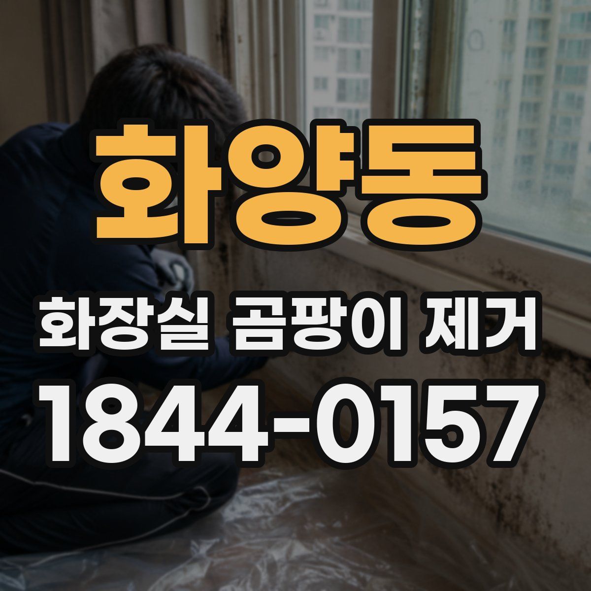화양동 화장실 곰팡이 제거