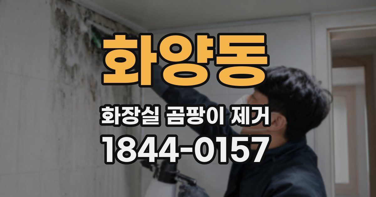 화양동 화장실 곰팡이 제거
