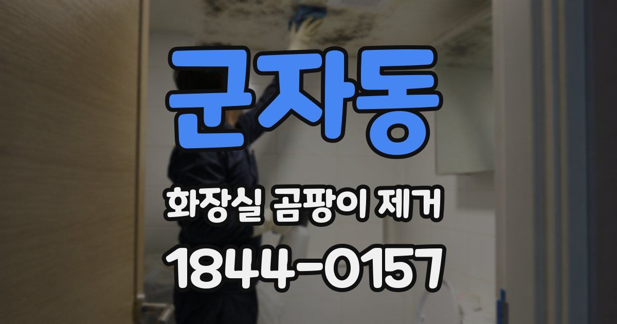 군자동 화장실 곰팡이 제거