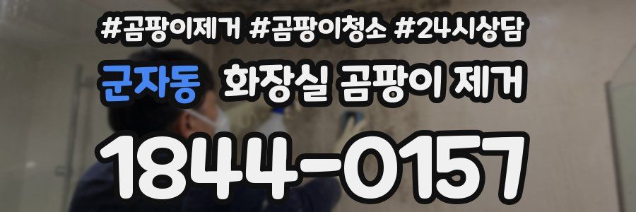 군자동 화장실 곰팡이 제거