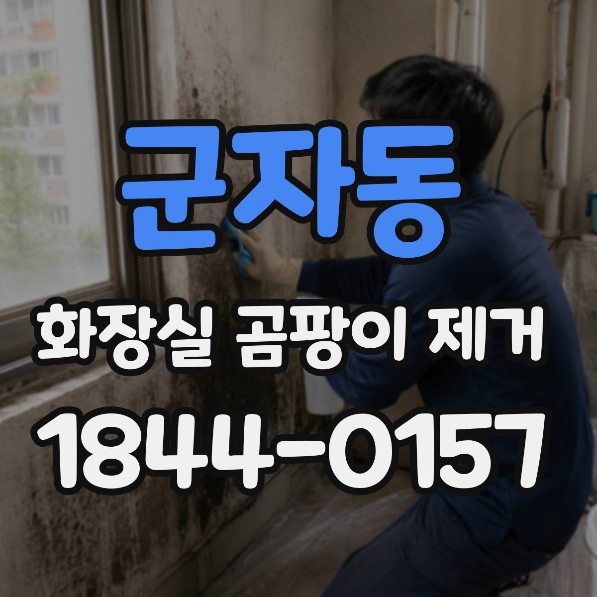 군자동 화장실 곰팡이 제거