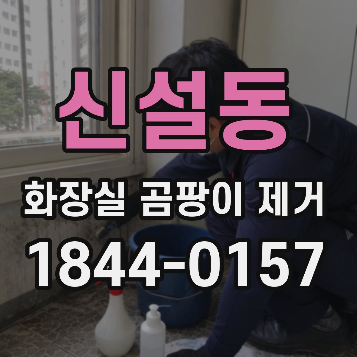 신설동 화장실 곰팡이 제거