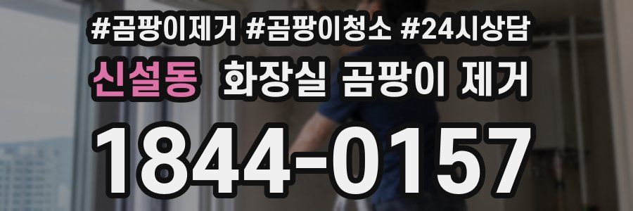 신설동 화장실 곰팡이 제거