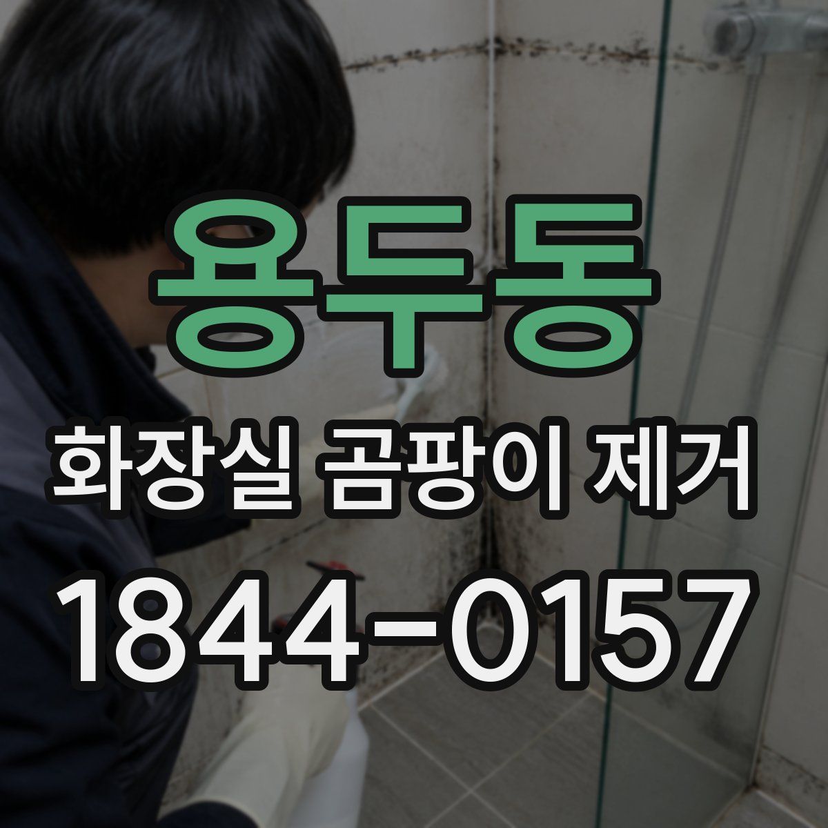 용두동 화장실 곰팡이 제거