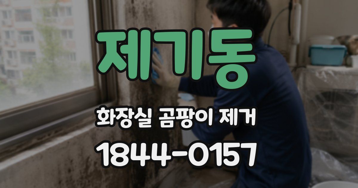 제기동 화장실 곰팡이 제거