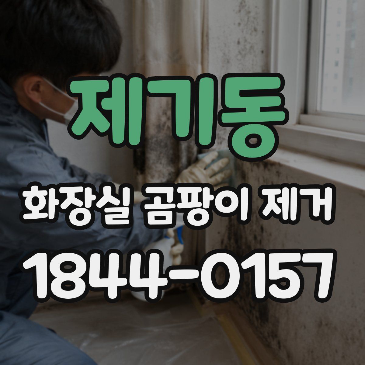 제기동 화장실 곰팡이 제거