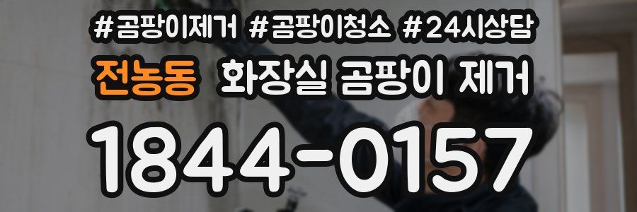 전농동 화장실 곰팡이 제거