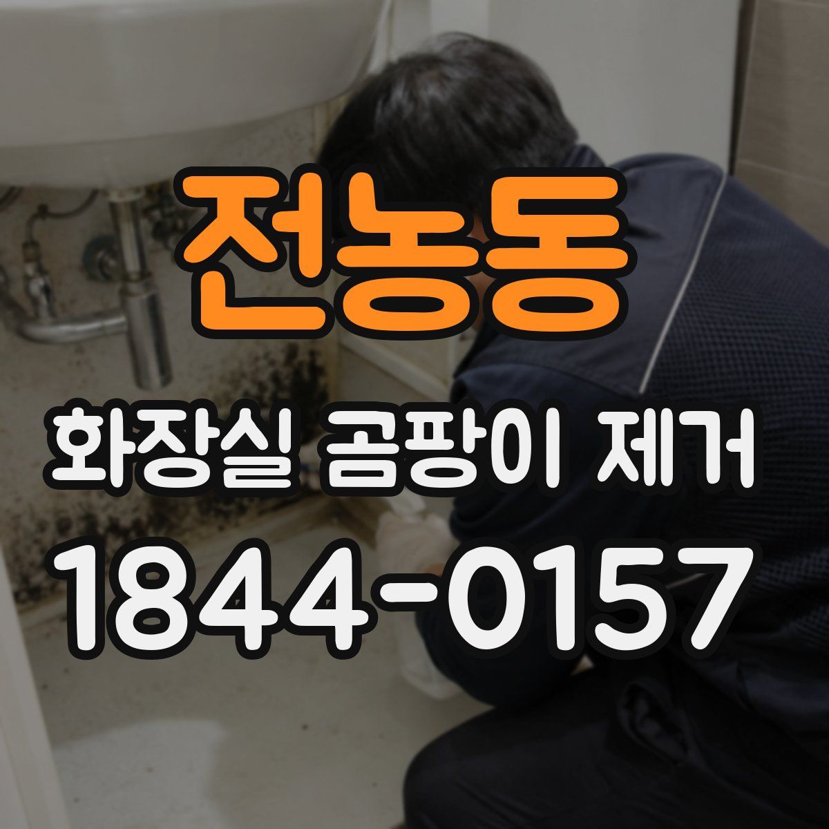 전농동 화장실 곰팡이 제거