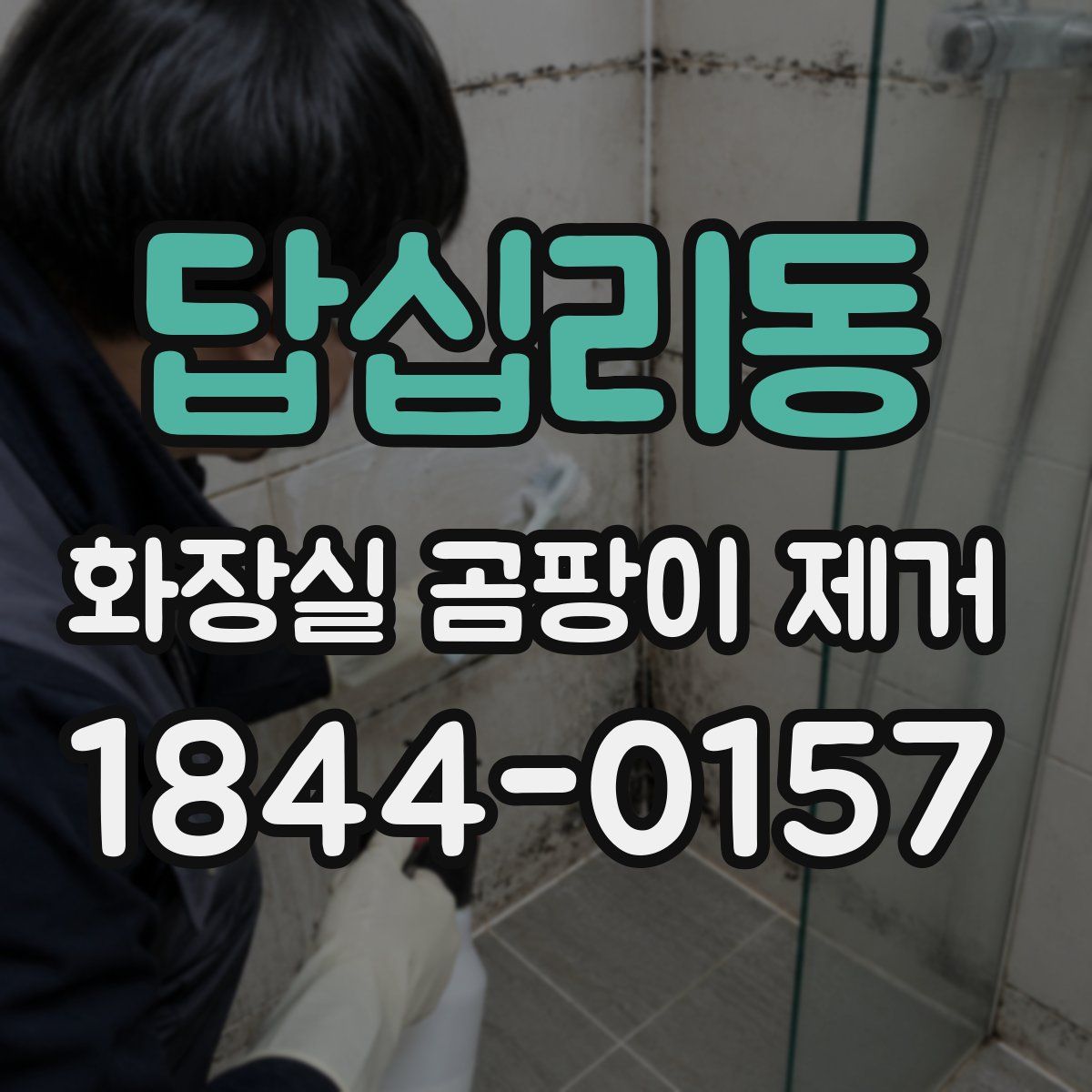 답십리동 화장실 곰팡이 제거