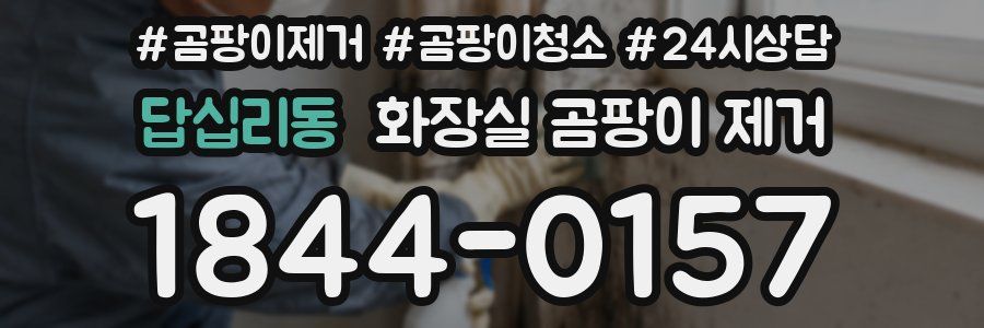 답십리동 화장실 곰팡이 제거