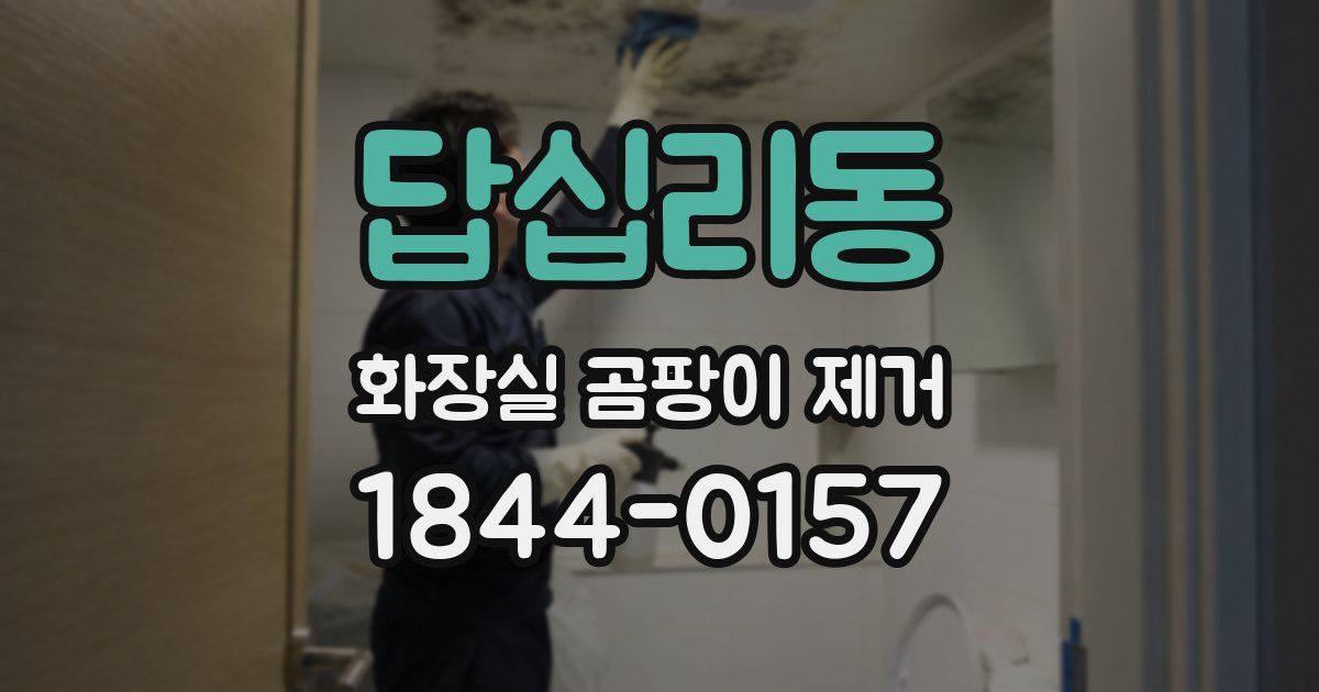 답십리동 화장실 곰팡이 제거
