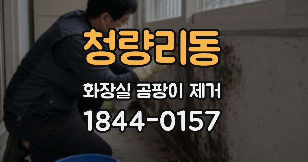 청량리동 화장실 곰팡이 제거