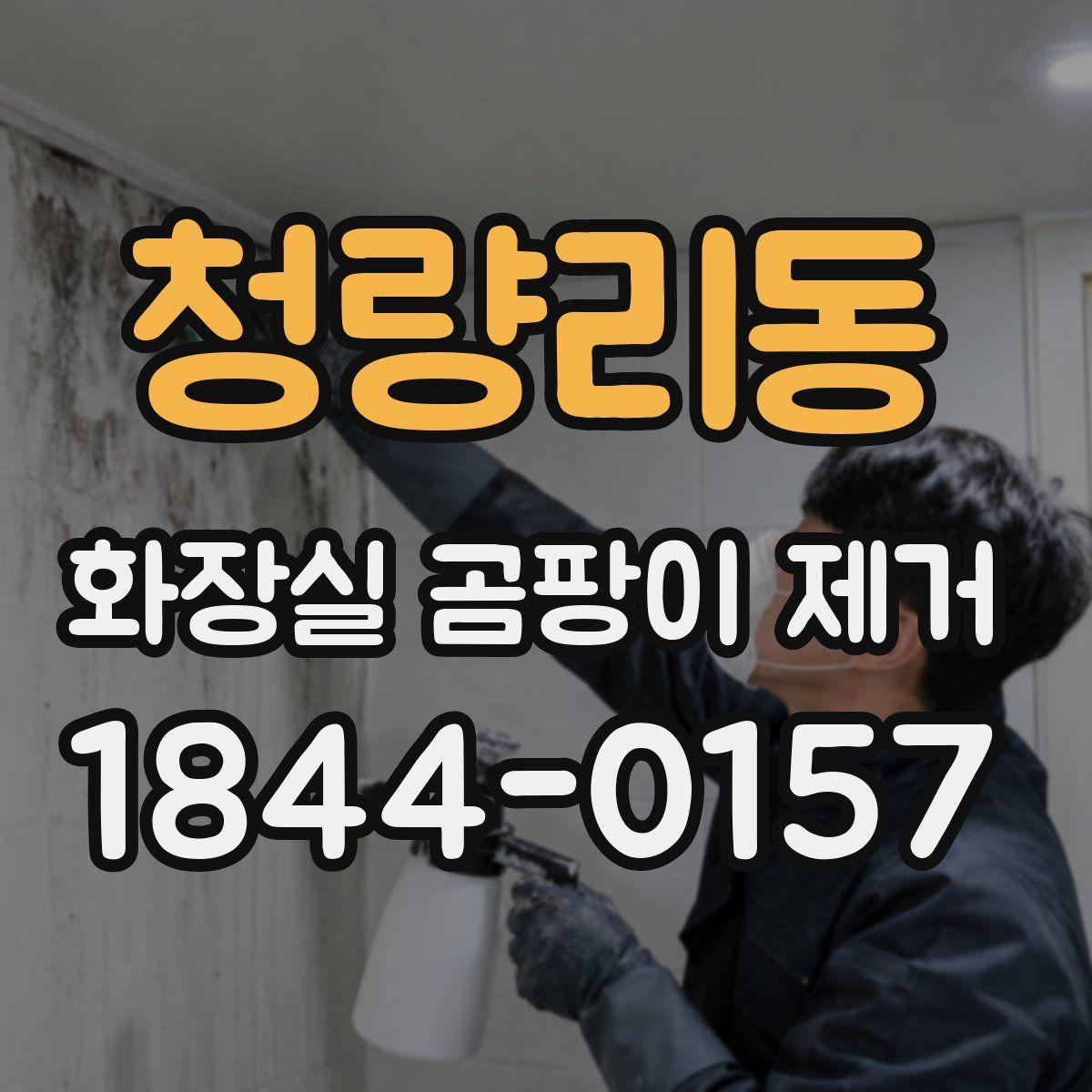 청량리동 화장실 곰팡이 제거
