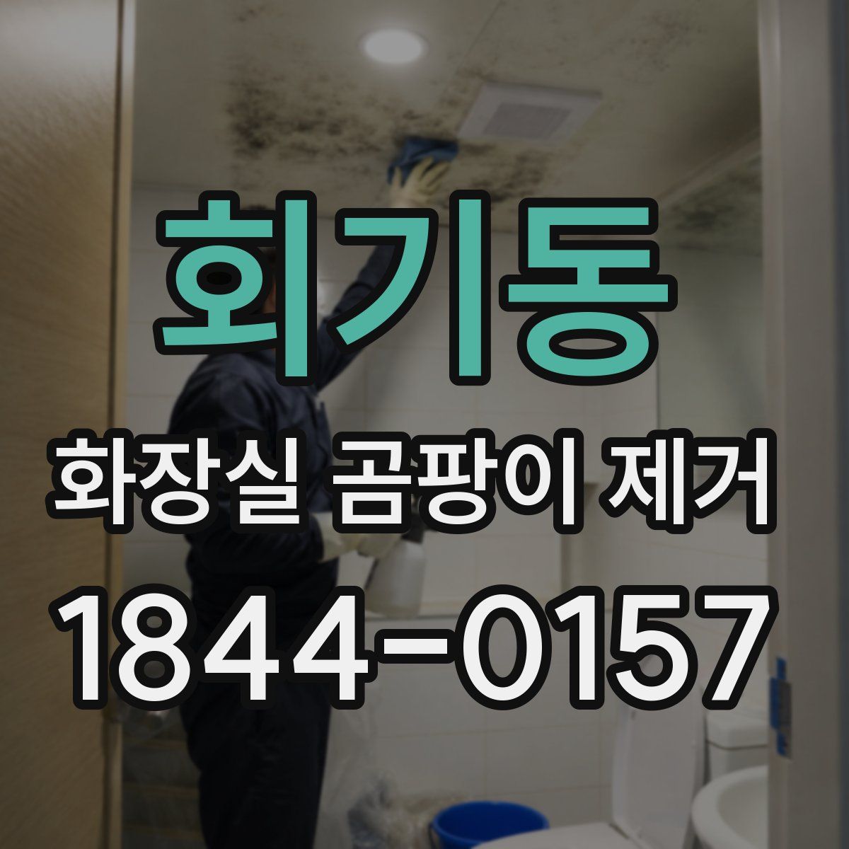 회기동 화장실 곰팡이 제거