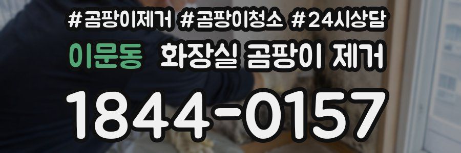 이문동 화장실 곰팡이 제거