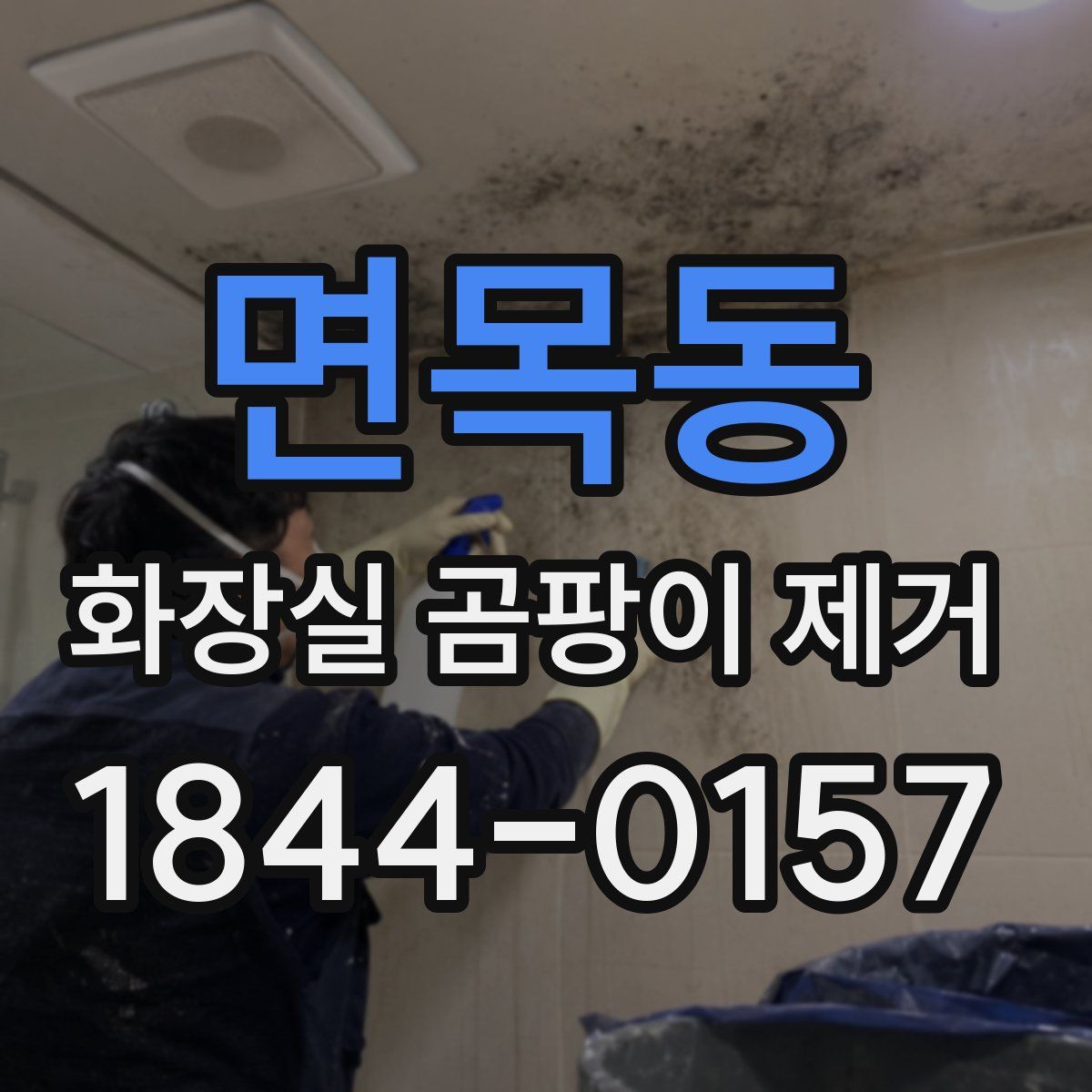 면목동 화장실 곰팡이 제거