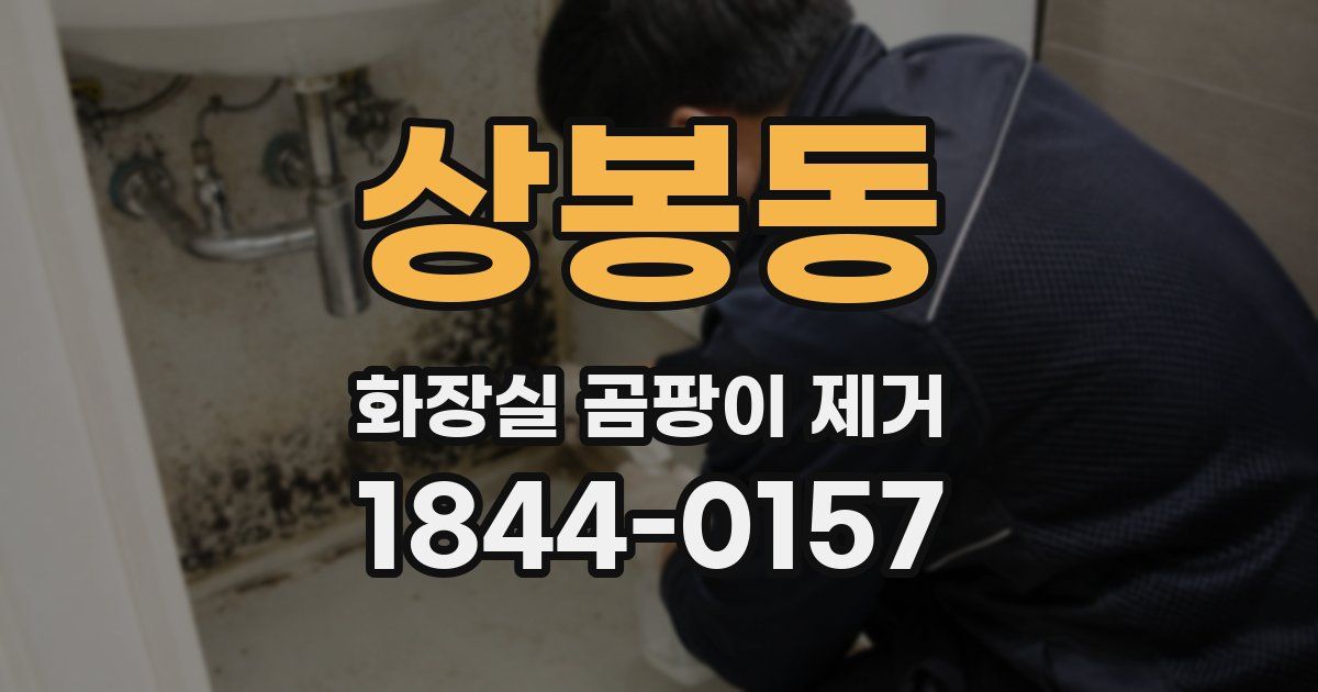 상봉동 화장실 곰팡이 제거