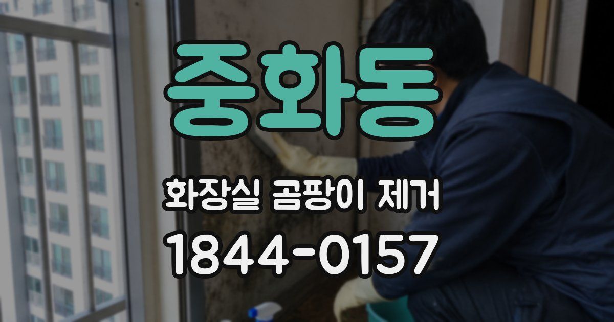 중화동 화장실 곰팡이 제거