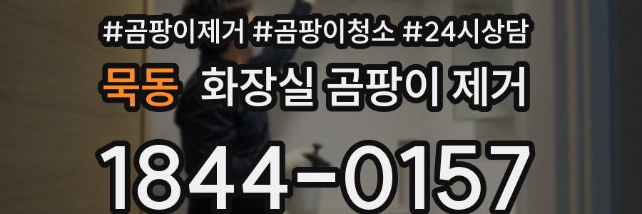 묵동 화장실 곰팡이 제거
