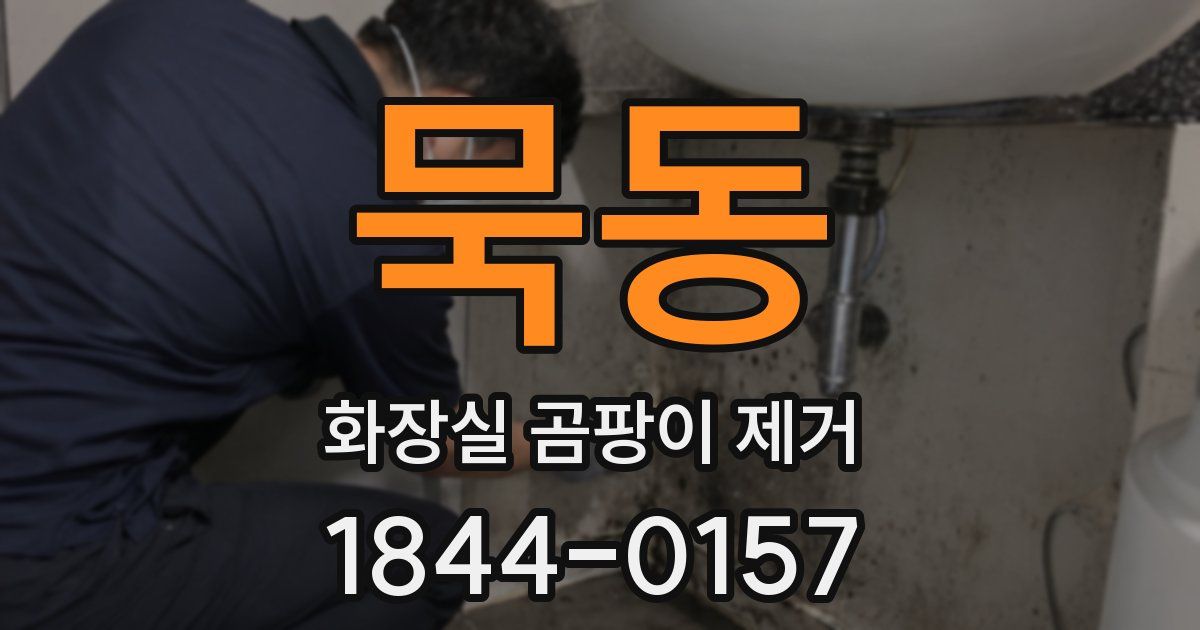 묵동 화장실 곰팡이 제거