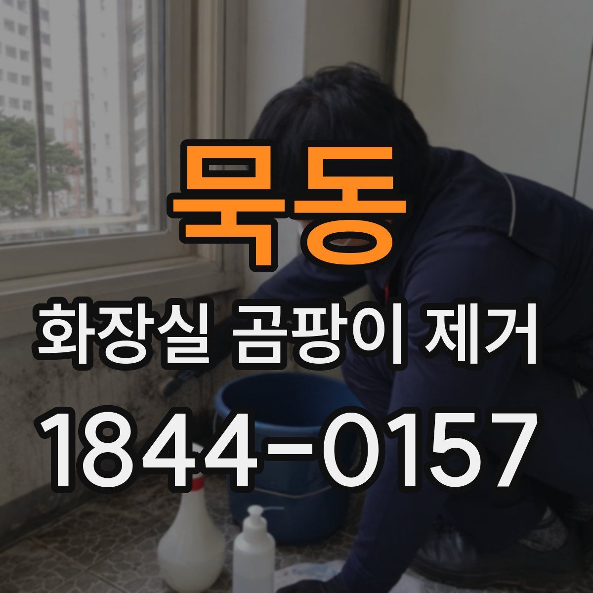 묵동 화장실 곰팡이 제거