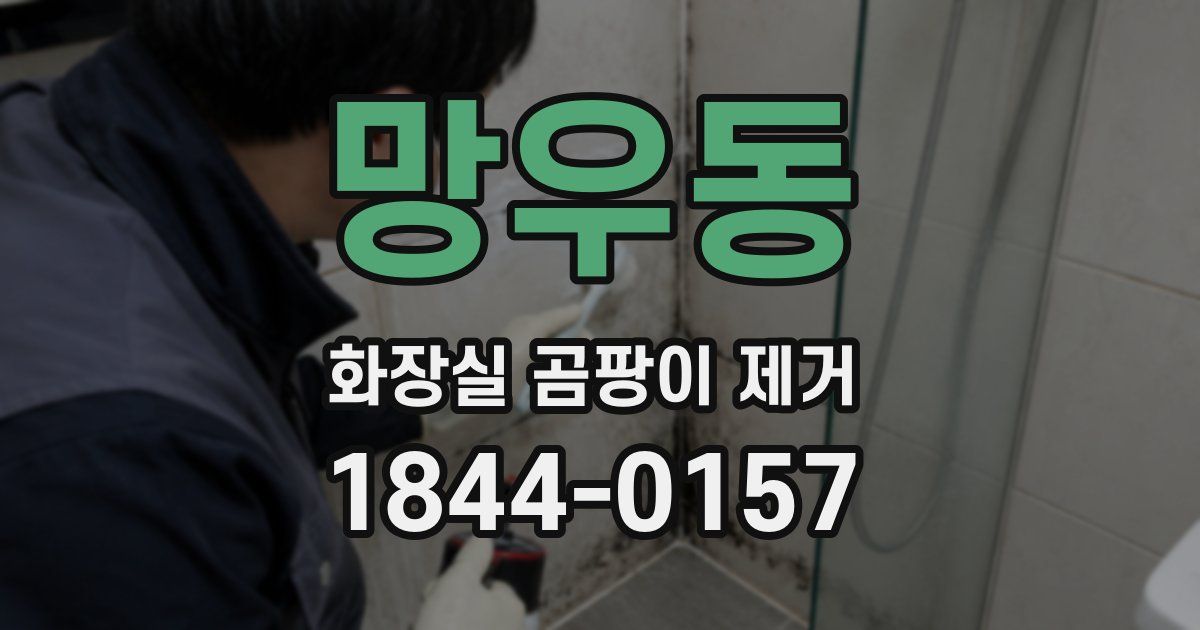 망우동 화장실 곰팡이 제거