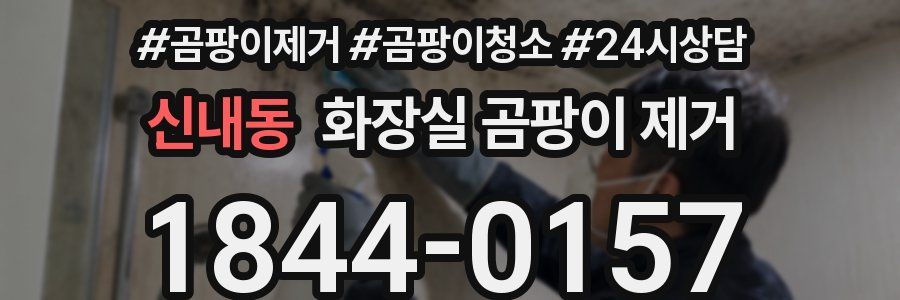 신내동 화장실 곰팡이 제거