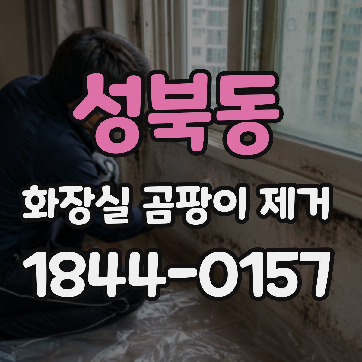 성북동 화장실 곰팡이 제거