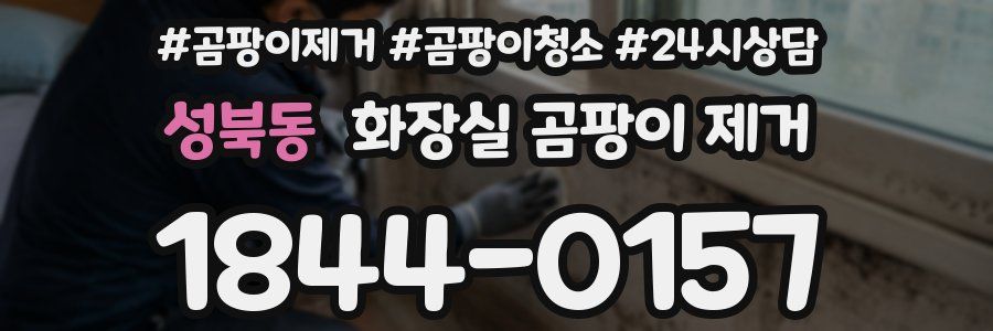 성북동 화장실 곰팡이 제거