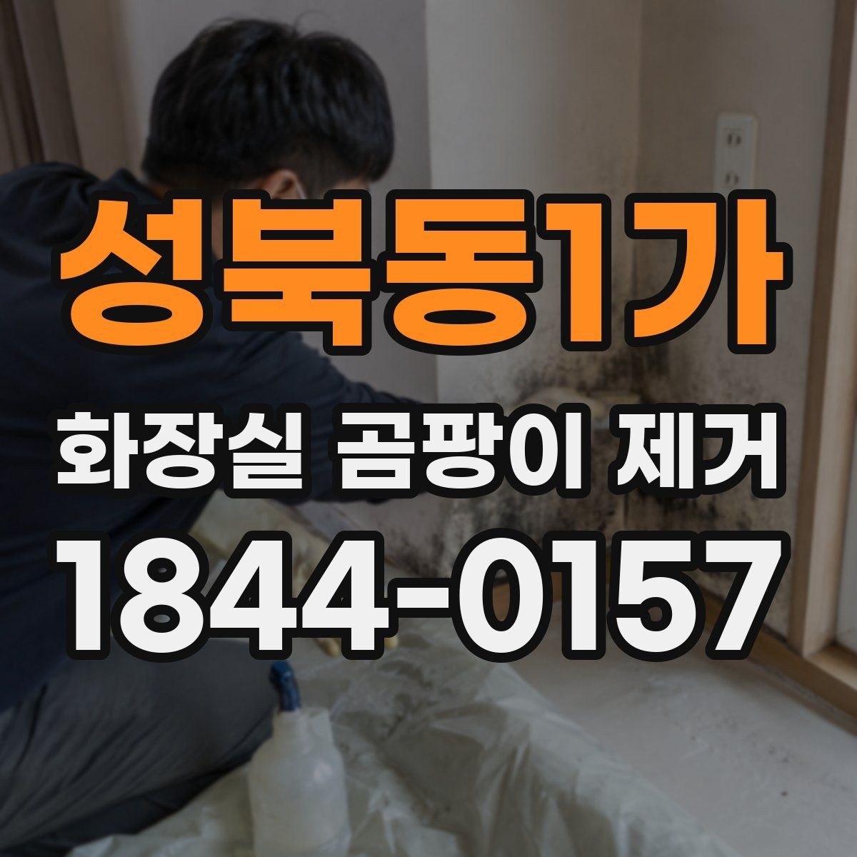 성북동1가 화장실 곰팡이 제거 벽면 오염이 쉽게 번지는 구조와 대응