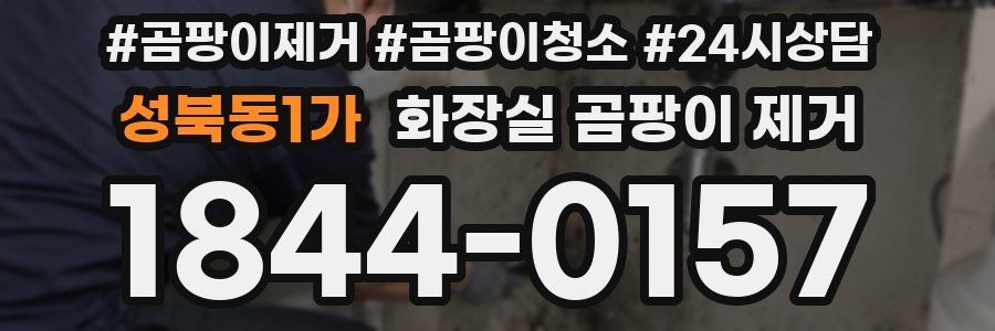 성북동1가 화장실 곰팡이 제거