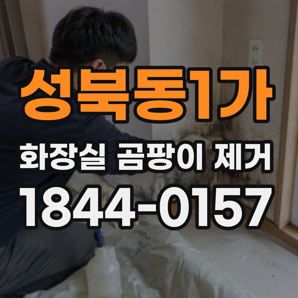 성북동1가 화장실 곰팡이 제거