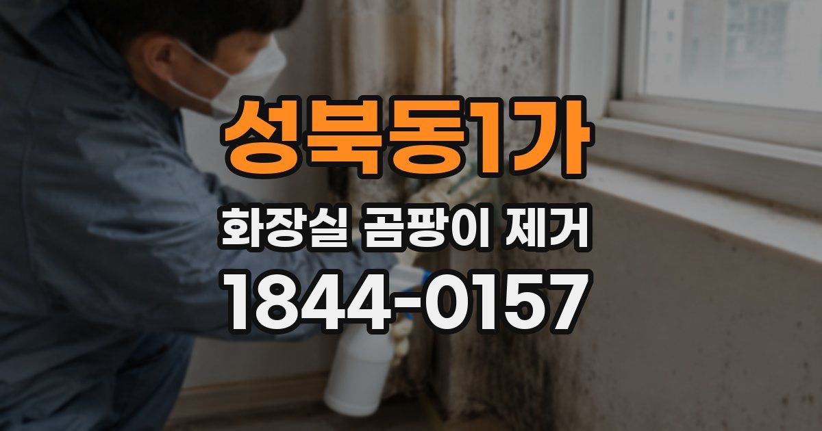 성북동1가 화장실 곰팡이 제거