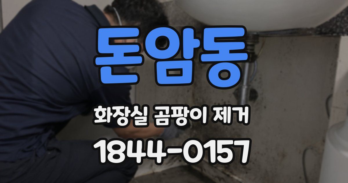 돈암동 화장실 곰팡이 제거