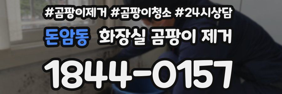돈암동 화장실 곰팡이 제거