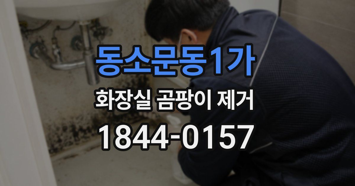 동소문동1가 화장실 곰팡이 제거