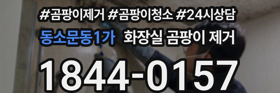 동소문동1가 화장실 곰팡이 제거