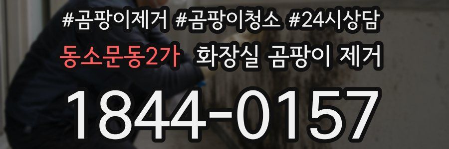 동소문동2가 화장실 곰팡이 제거