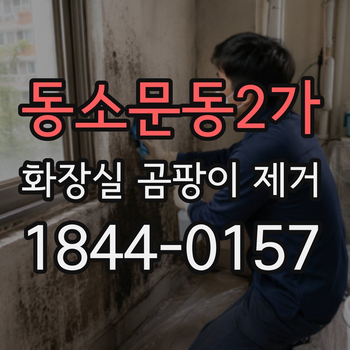 동소문동2가 화장실 곰팡이 제거