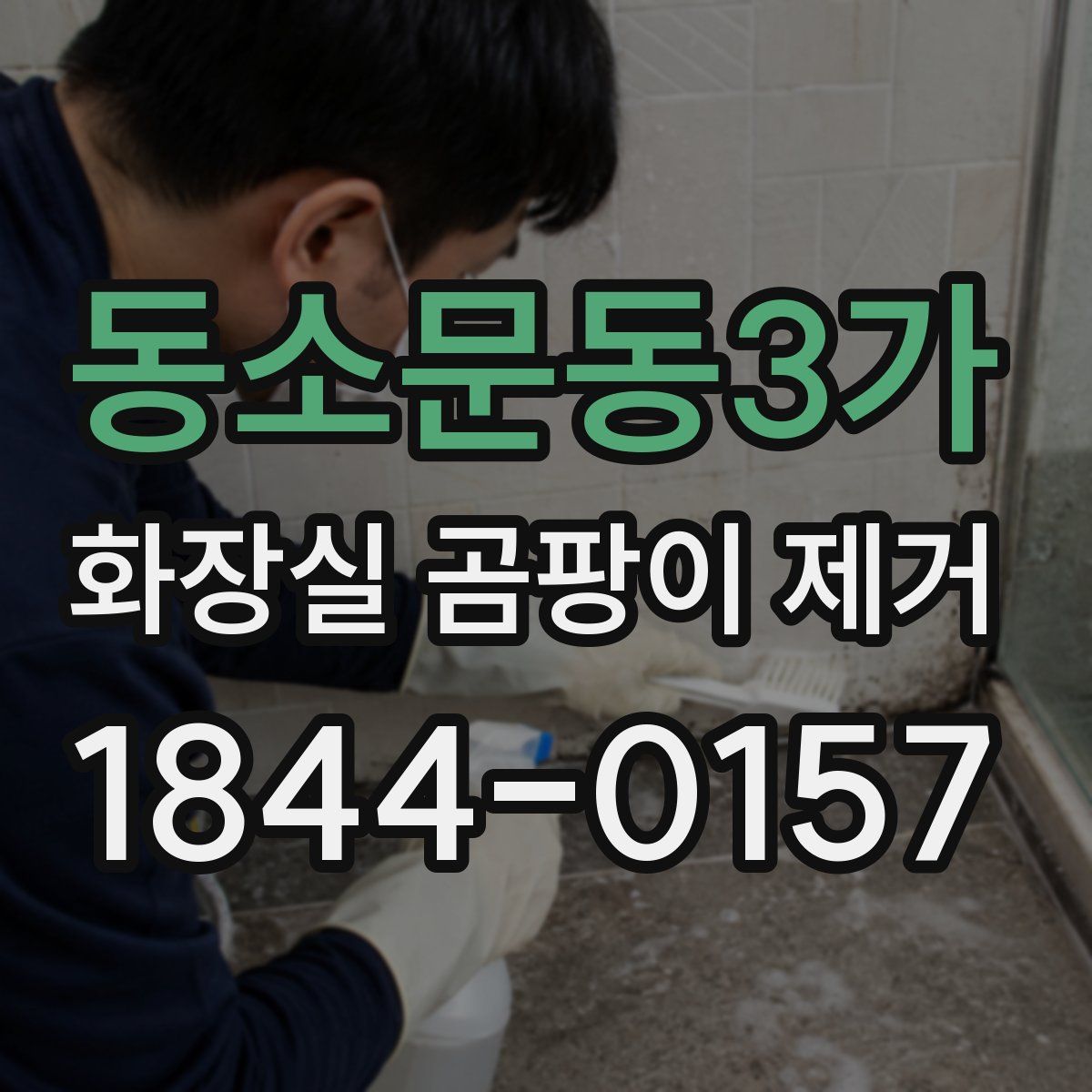 동소문동3가 화장실 곰팡이 제거